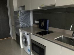 the-gazania photo thumbnail #7